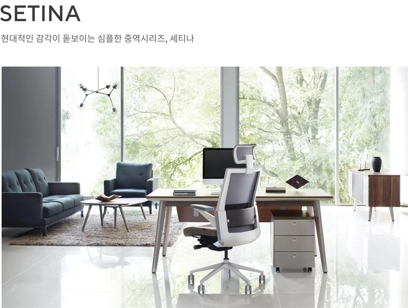 세티나 크레덴자 상세 정보