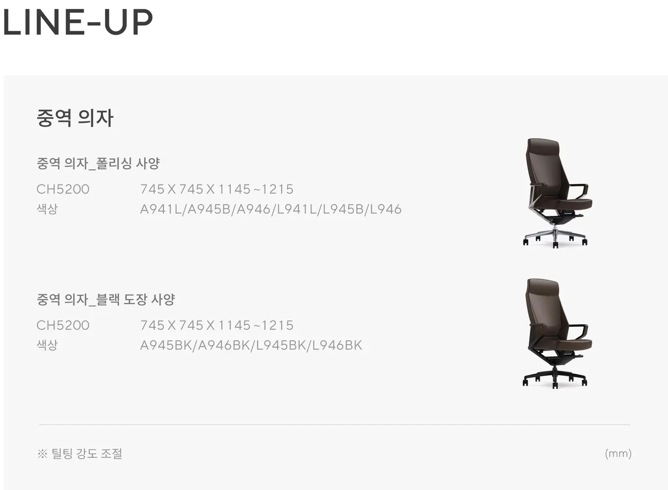 베스토 중역 의자 상세 정보