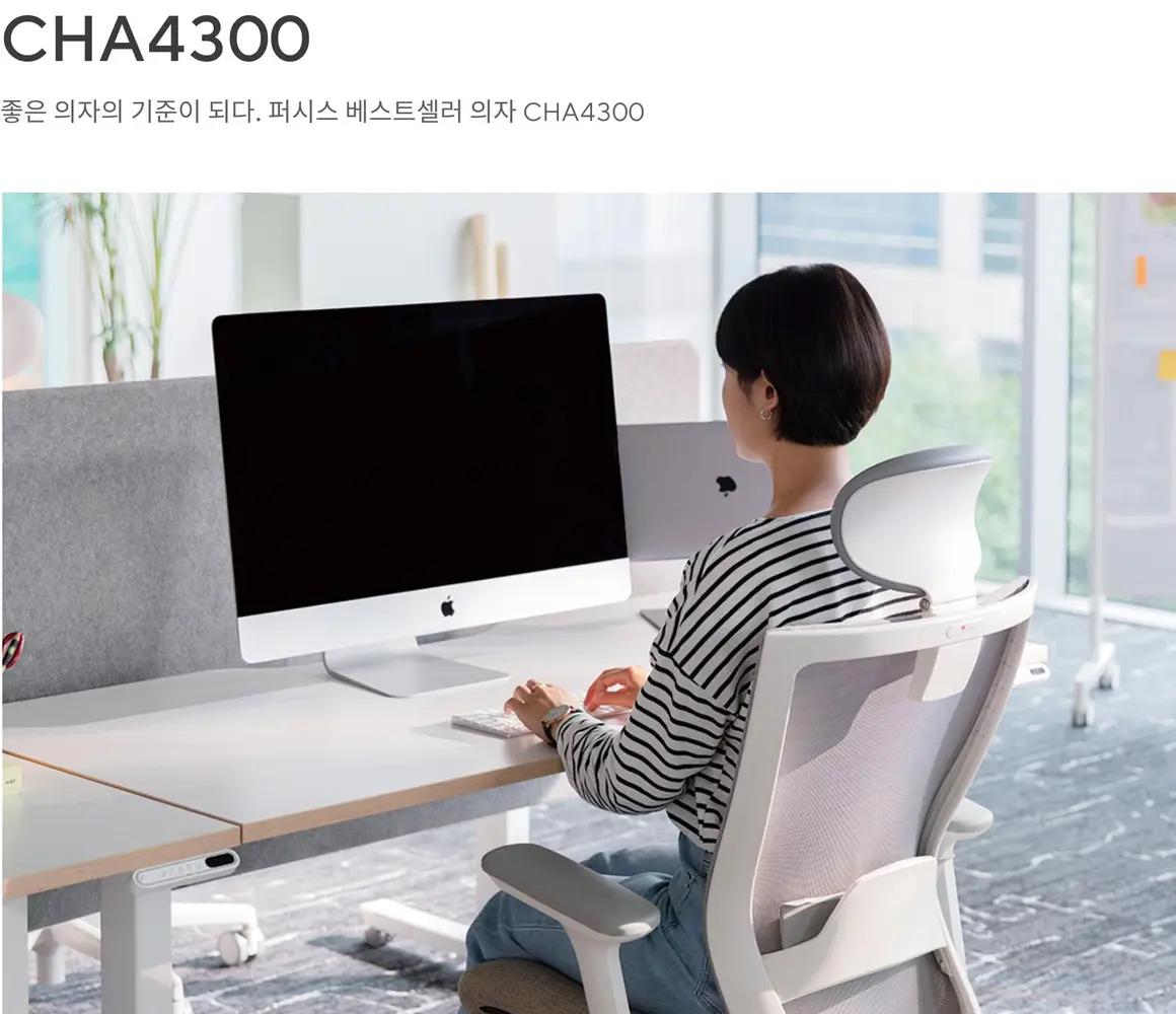 CHA4300-EX 중역 의자 상세 정보