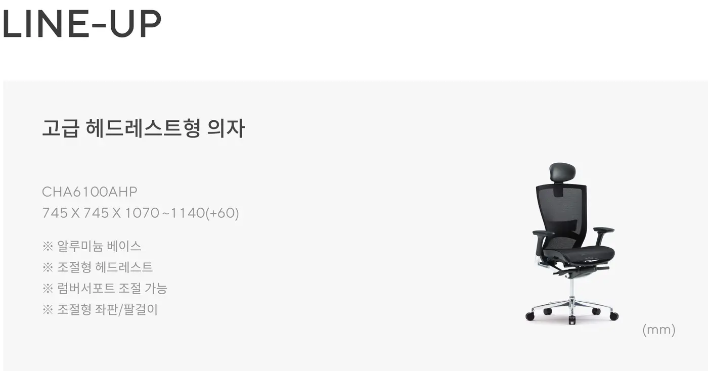 CHN6100 고급 헤드레스트형 의자 상세 정보