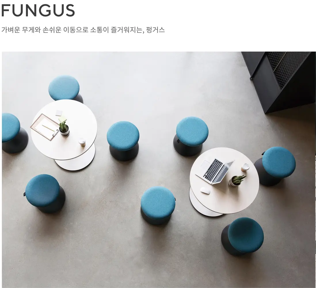 펑거스 스툴 상세 정보