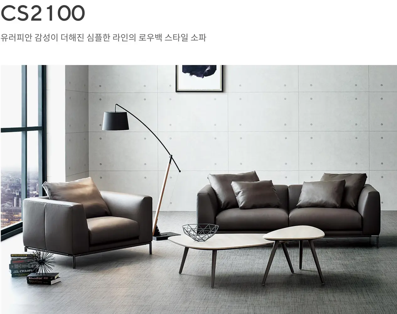 CS2100 소파 상세 정보