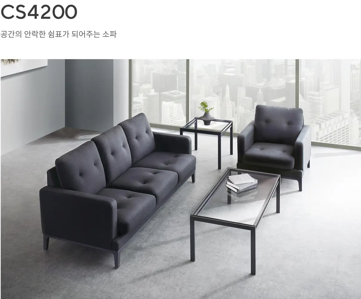 CS4200 소파 상세 정보