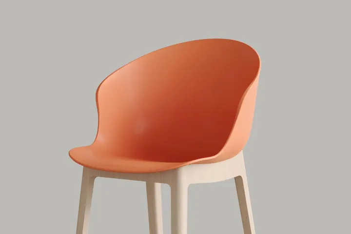 감각적인 쉘 디자인